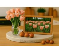 Lot de 10 Bulbes de TULIPE SAUMON - Bulbe de printemps - Calibre 10/11 - Fleur Jardin - 888