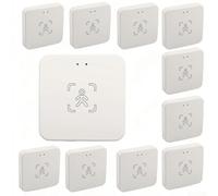 Lot de 10 capteurs Smart Human Presence - 10 m de détection de mouvement avec technologie mm Wave - Pour Wi-Fi 2,4 GHz - Capteur de lumière 0-3000 lux - Compatible avec l'application Studvin - Pour