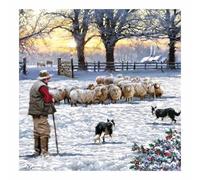 Lot de 10 cartes de Noël caritatives avec enveloppes - Écologiques et recyclables (Herding the Sheep) - 14 x 14 cm