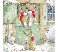 Lot de 10 cartes de Noël caritatives - BHF, Marie Curie, Age UK, NSPCC, Parkinson's UK et Alzheimer's Society - Motif ânes, chiens et chats - Fabriquées au Royaume-Uni - Écologiques