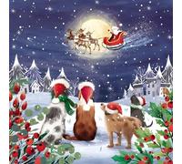 Lot de 10 cartes de Noël caritatives - Marie Curie, BHF, Age UK, NSPCC, Alzheimer's Society and Samaritans - Chiens festifs - Fabriquées au Royaume-Uni - Respectueux de l'environnement