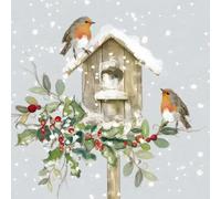 Lot de 10 cartes de Noël caritatives - Marie Curie, BHF, Age UK, NSPCC, Alzheimer's Society and Samaritans - Rouges d'hiver et nichoir - Fabriquées au Royaume-Uni - Écologiques