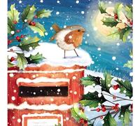 Lot de 10 cartes de Noël caritatives - Marie Curie, BHF, Age UK, NSPCC, Alzheimer's Society and Samaritans - Rouge-gorge et boîte aux lettres - Fabriquées au Royaume-Uni - Écologiques