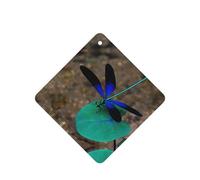 Lot de 10 cartes désodorisantes parfumées pour voiture Motif libellule noire et bleue