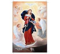 Lot de 10 cartes Marie qui défait les nœuds