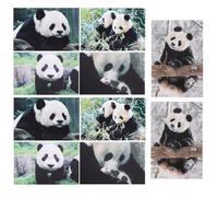 Lot De 10 Cartes Postales Panda Adorables, Verso Vierge Pour Message Personnel, Idéal Pour Collectionneurs, Scrapbooking Et Décoration Murale, Format 15 X 10 Cm