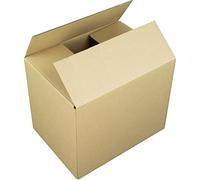 Lot de 10 cartons d'expédition Raadhuis 305 x 220 x 250 mm