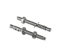 Lot de 10 chevilles d'ancrage robustes en acier inoxydable 304 conçues pour une fixation ferme et un support de construction fiable (M12 x 110)