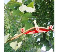 Lot de 10 cintreuses de branches réglables pour soutenir le jardin, outil rotatif de façonnage des plantes, utilisé pour optimiser l'exposition à la lumière et favoriser un développement plus sain