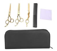 Lot de 10 ciseaux de coupe de cheveux professionnels - Ciseaux de coiffure - Ciseaux à effiler - Couteau - Peigne - Outil de coiffure - Doré