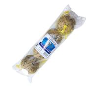 Lot de 10 Classic Bird Maxi Graisse 4 x 250g