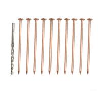 Lot de 10 clous tueurs de souches en cuivre, 8,9 cm pour enlever les racines des arbres pour perceuse et marteau - Destructeur de racines en cuivre pur pour enlever les souches de jardin