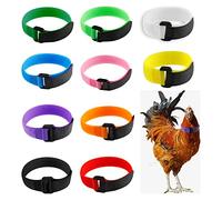 Lot de 10 colliers de coq anti-bruit anti-bruit pour coq, coq, collier de coq en nylon pour empêcher le poulet de crier ou de déranger les voisins