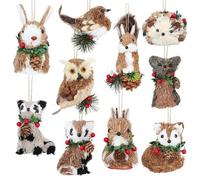 Lot de 10 décorations de Noël plates en acrylique 2D pour sapin de Noël pour la famille et les amis