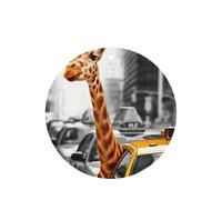 Lot de 10 désodorisants de voiture à suspendre avec corde Motif girafe à New York