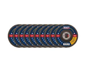Lot de 10 disques à lamelles en oxyde d'aluminium Ø 115 mm Alésage Ø 22 mm Grain assorti