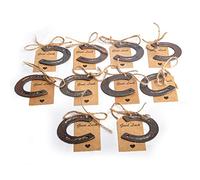 Lot de 10 fers à cheval porte-bonheur Décoration de Noël occidentale Faveurs de mariage rustiques Mini cheval Décoration de fête occidentale Cadeaux de retour avec étiquettes Fer à cheval vintage