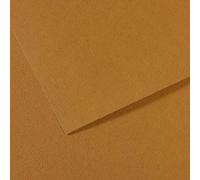 Lot de 10 Feuille Mi-Teintes® 50x65 160g/m², coloris cachou 336