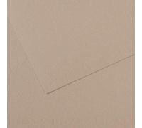 Lot de 10 Feuille Mi-Teintes® 50x65 160g/m², coloris gris flanelle 122