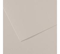 Lot de 10 Feuille Mi-Teintes® 50x65 160g/m², coloris gris perle 120