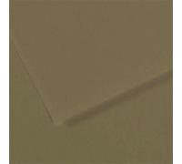 Lot de 10 Feuille Mi-Teintes® 50x65 160g/m², coloris vert olive 191