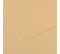 Lot de 10 Feuille Mi-Teintes® A3 160g/m², coloris lichen 407