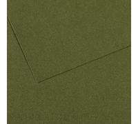 Lot de 10 Feuille Mi-Teintes® A3 160g/m², coloris vert océan 448