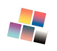 Lot de 10 feuilles d'autocollants pour planificateur mensuel avec onglets adhésifs