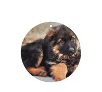 Lot de 10 feuilles de désodorisant de voiture avec corde pour la maison Motif chiot berger allemand