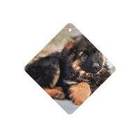 Lot de 10 feuilles de désodorisant de voiture avec corde pour la maison Motif chiot berger allemand