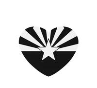 Lot de 10 feuilles de désodorisant de voiture avec cordes pour décoration de voiture Motif drapeau de l'Arizona Noir