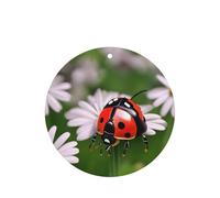 Lot de 10 feuilles de désodorisant pour voiture avec corde Motif coccinelle et marguerite