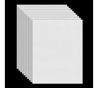 Lot de 10 feuilles de maille en plastique - 20 x 30 cm - Blanc - Pour la fabrication de sacs, la broderie, les travaux manuels