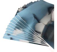 Lot de 10 feuilles de papier cartonné argenté A2 220 g/m²