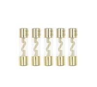 Lot de 10 fusibles AGU en verre plaqué or 10 x 38 mm for amplificateur audio de voiture 10 A, 15 A, 20 A, 25 A, 30 A, 40 A, 50 A, 60 A, 70 A, 80 A, 100 A(100A)