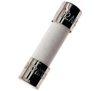 Lot de 10 fusibles en céramique T2AH250V à fusion lente 5 x 20 mm 2 A 250 V (T2A)