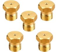 Lot de 10 Gicleur Gaz Butane Universels, Jeu de conversion de GPL, Universal Butane Gas Nozzles, Buses Injecteurs de Conversion pour Cuisinières et Plaques de Cuisson LPG, 0.5 0.65 0.7 0.87 0.95 mm