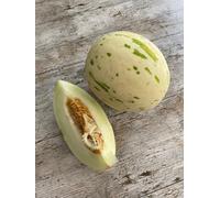 Lot de 10 graines de melon de neige