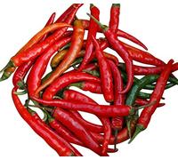 Lot de 10 graines de piment