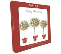 Lot de 10 grandes cartes de Noël caritatives avec enveloppes - Écologiques et recyclables (trois baies en pot) avec enveloppes - 16 x 16 cm