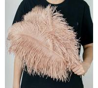 Lot de 10 grandes plumes d'autruche de 15 à 60 cm, pour décoration de table de mariage, de carnaval, de scène, en vrac, rose, 25 à 30 cm