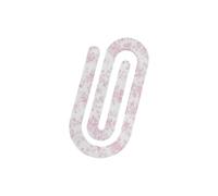 Lot de 10 grands trombones en acrylique pour marque-pages décoratifs pour bloc-notes, journal, planificateur, clips de documents