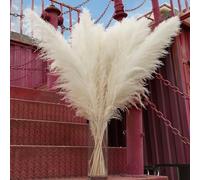 Lot de 10 Herbes de la Pampa Blanches de 101,6 cm - Pompas Floraux, Grandes Herbes de la Pampa pour vases de Sol, Sol de Salon, Plantes de Sol, Prunes Para et décoration Murale d'herbe