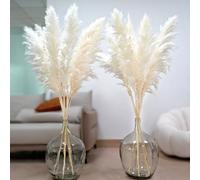Lot de 10 herbes de la pampa blanches de 117,8 cm - Pompas floraux, grandes herbes de la pampa pour vases de sol, sol de salon, plantes de sol, prunes para et décoration murale d'herbe