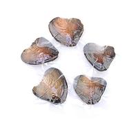 Lot de 10 huîtres Akoya avec perles de culture ovales à l'intérieur pour mariage, anniversaire, pour femme (7,5-8 mm)