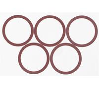 Lot de 10 joints fibre, 12/17 mm COMAP G