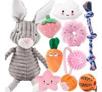 Lot de 10 jouets à mâcher pour chiens de petite taille - Jouet couineur en peluche pour chien - Jouets de dentition pour chien pour l'ennui - Cadeau pour chiens de petite et moyenne taille