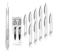 Lot de 10 lames de scalpel Figurine 13 en acier carbone - Lames de rechange emballées individuellement stériles + 1 May - Support de scalpel - 21 cm de long - Acier inoxydable