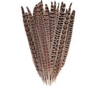 Lot de 10 longues plumes de faisan naturelles pour arrangement floral, centre de table, décoration de maison, fête, loisirs créatifs