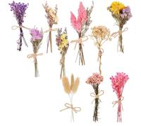 Lot de 10 Mini Bouquets de Fleurs Naturelles séchées, 4,5 à 5,3 po, Petites compositions Florales légères, déco de Vase DIY, Mariage, Cadeau de Saint-Valentin